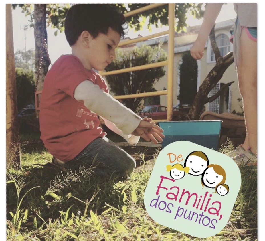 Mi hijo el coleccionista